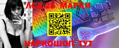 гашик Кимры
