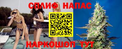 мдпв Кингисепп