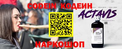 мдпв Кингисепп