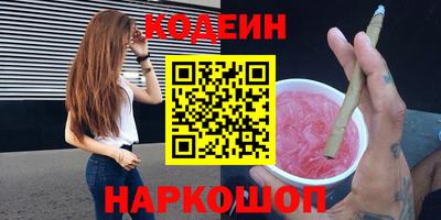 мдпв Кингисепп