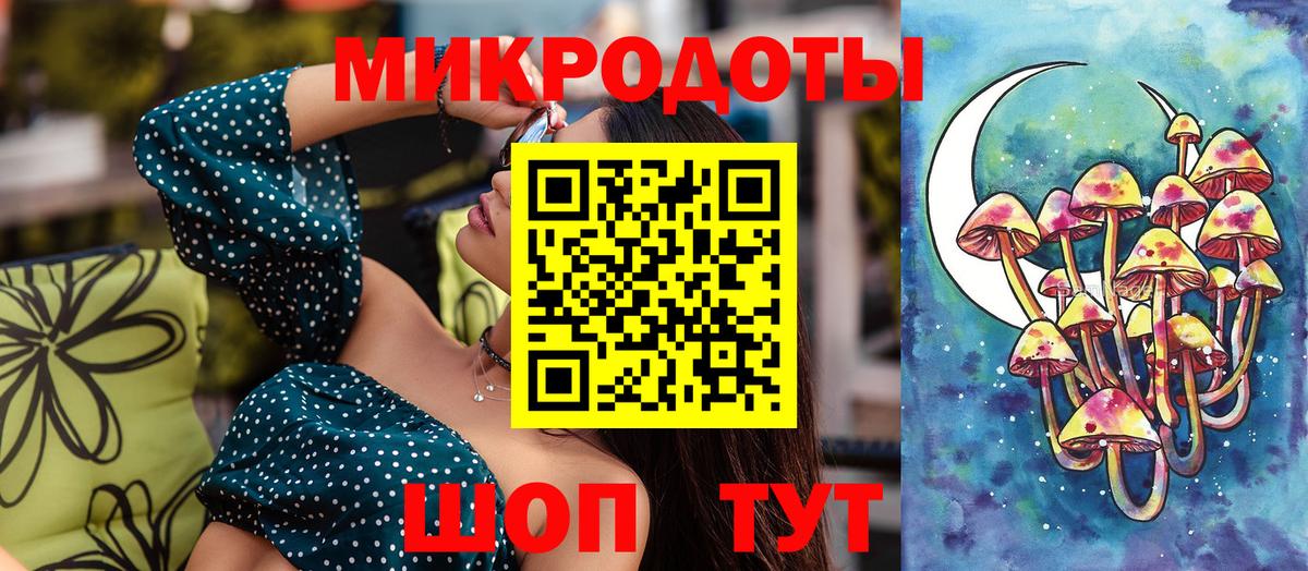 Королёв  Псилоцибиновые грибы Psilocybine cubensis  Вход с VPN 